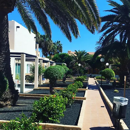 Alisios Playa 科拉雷侯