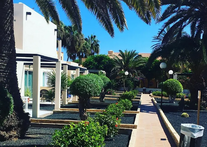 Alisios Playa Corralejo